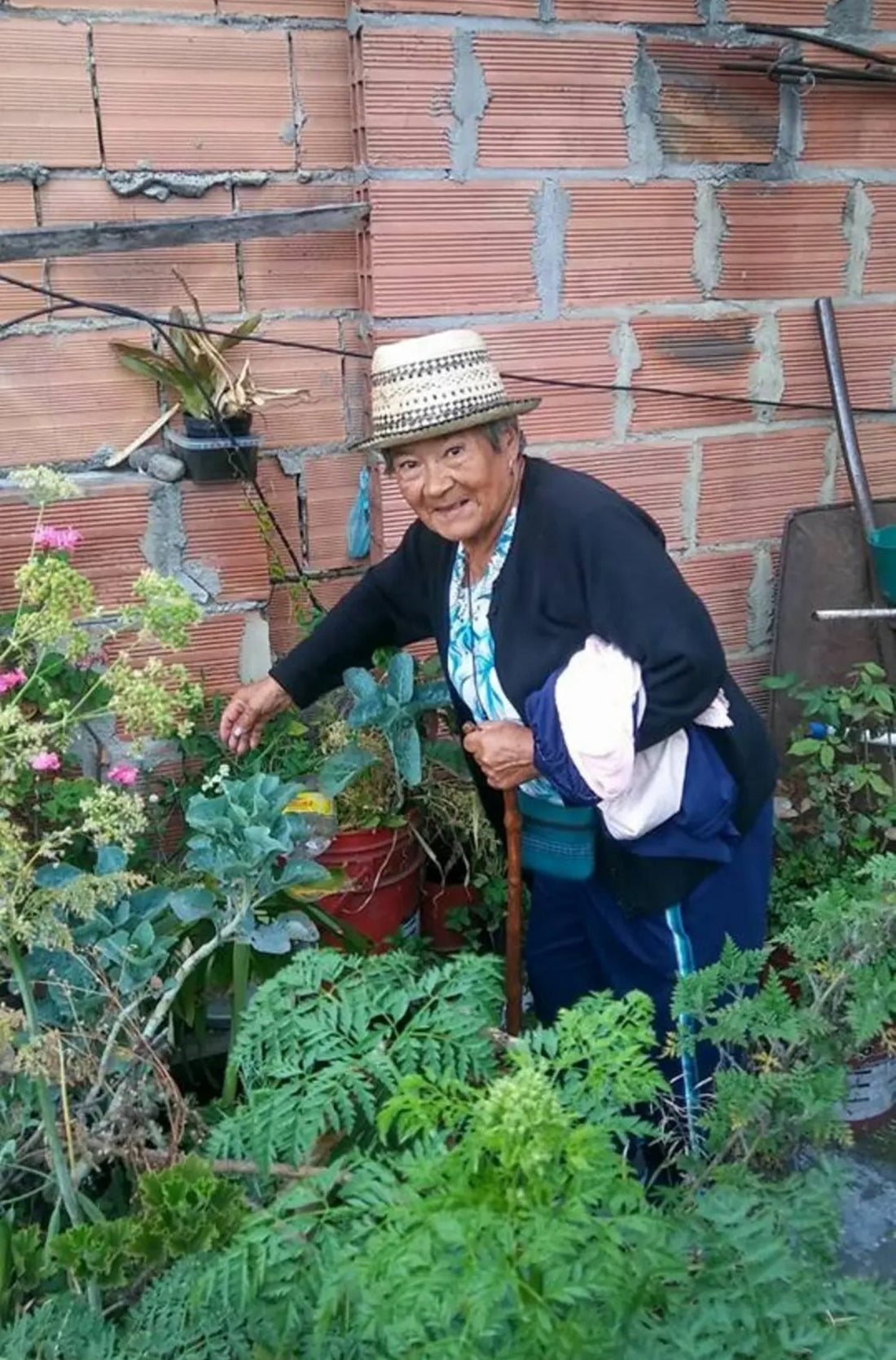 Image: (Rosario Romero Lopez, paternal grandmother, in her garden. Bogota, Colombia, 2005)